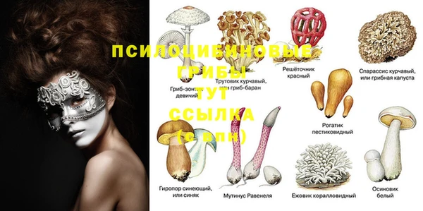 ешки Алексин
